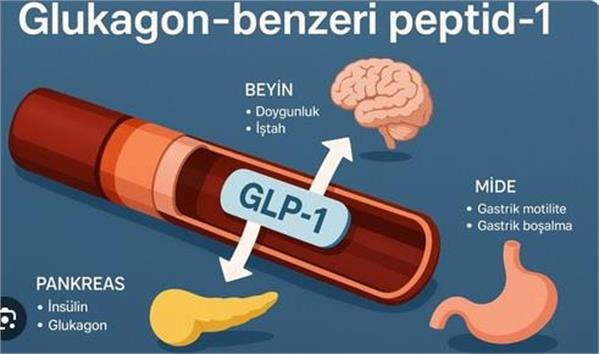 کنفرانس علمی GLP-1/GIP ، جایگاه و نقش آن در درمان اختلالات متابولیک مورخ 8 آبان در سالن هتل پارسیان