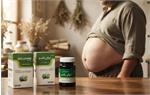 وبینار  چاقی و اصول درمان آن از دیدگاه طب ایرانی و مدرن  مورخ 25 مردادماه - مشاهده وبینار در لینک cmelearn.ir