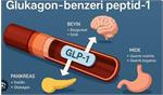 کنفرانس علمی GLP-1/GIP ، جایگاه و نقش آن در درمان اختلالات متابولیک مورخ 8 آبان در سالن هتل پارسیان